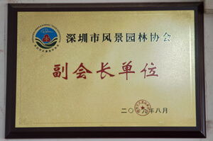 2005深圳市风景园林协会副