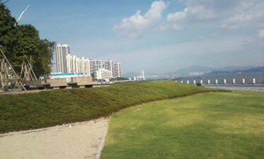 花梨园林