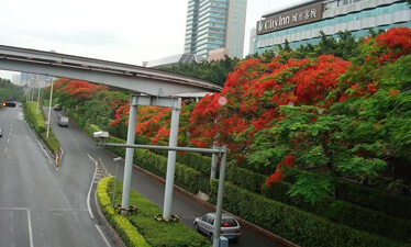花梨园林